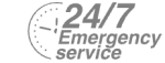 24/7 Emergency Service Pest Control in North Finchley, Woodside Park, N12. Call Now! 020 8166 9746