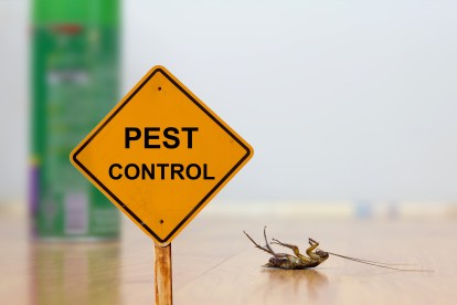Pest Contol in North Finchley, Woodside Park, N12. Call Now 020 8166 9746